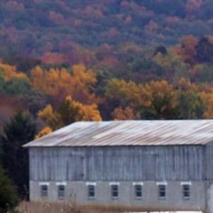 Meet your Posher, Vicki